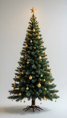 evergreen holiday tree