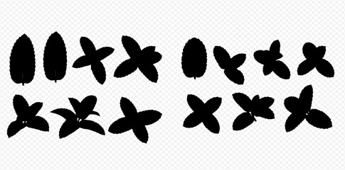 Fototapeta premium Collection of various black silhouetted leaf shapes and plant elements on a transparent background.