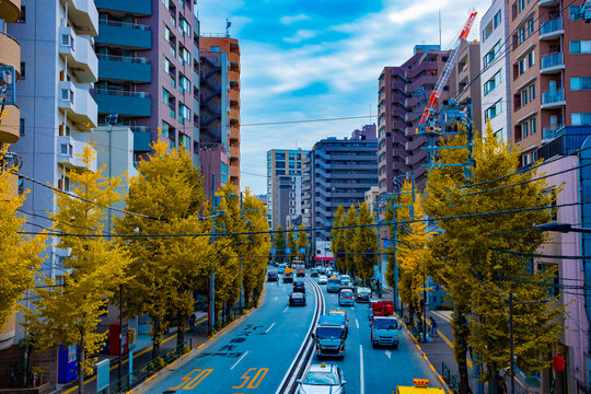 A cityscape of traffic jam at the yellow gingko street in Tokyo