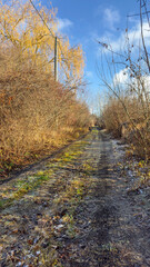 Obraz premium A dirt road with trees in the background