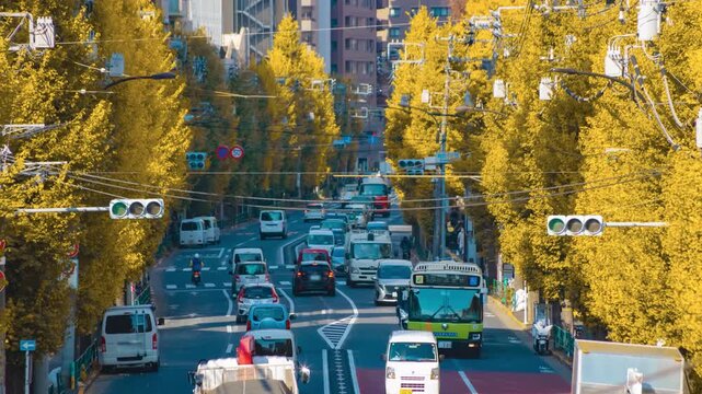 A timelapse of traffic jam at the yellow gingko street in Tokyo telephoto shot