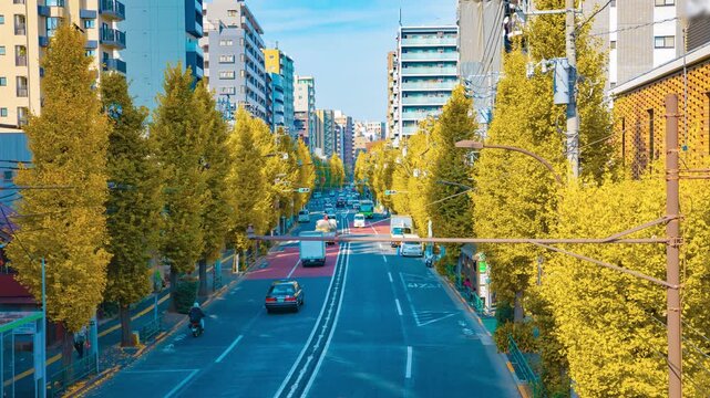 A timelapse of traffic jam at the yellow gingko street in Tokyo