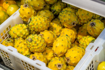 Ripe yellow pitaya or dragon fruit in a white plastic crate on a supermarket shelf. Close up of exotic fruits with scaly skin for healthy eating, tropical diet and organic nutrition concepts.