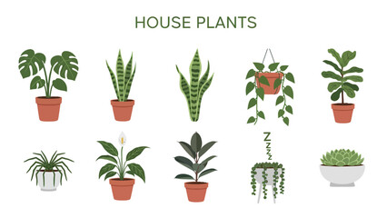 An illustration of nine different potted house plants displayed against a white background