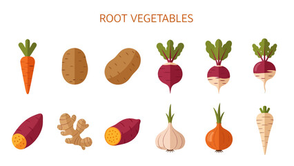 Flat vector illustrations of ten different root vegetables arranged in two rows