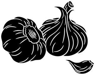 organic illustration fresh silhouette vegetable logo garlic icon food outline spice clove plant white raw ingredient aromatic healthy natural shape women vector graphic background