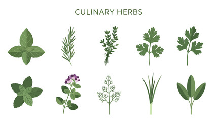 Ten illustrations of green culinary herbs arranged in two rows © Faisal