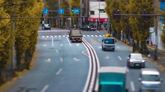A timelapse of miniature traffic jam at the yellow gingko street in Tokyo
