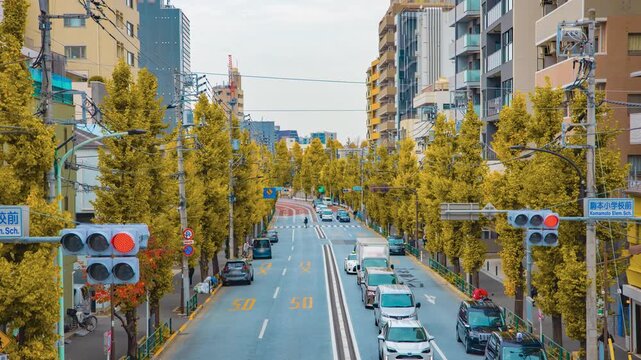 A timelapse of traffic jam at the yellow gingko street in Tokyo tilt
