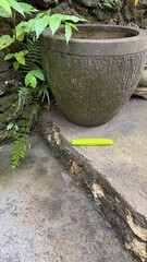 Bright Green Object on Concrete Steps Next to Moss-Covered Pot
