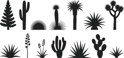 Collection of desert plants and cacti in silhouette against a white background succulents © Shakila