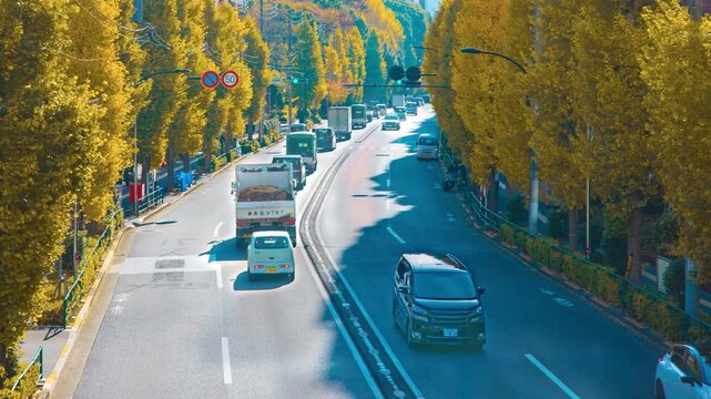 A timelapse of traffic jam at the yellow gingko street in Tokyo panning