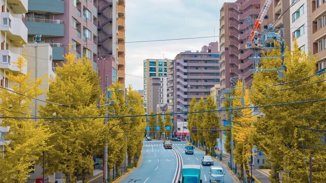 A timelapse of traffic jam at the yellow gingko street in Tokyo zoom