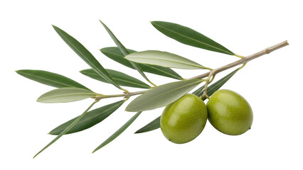 Olive branch with olives isolated on transparent background