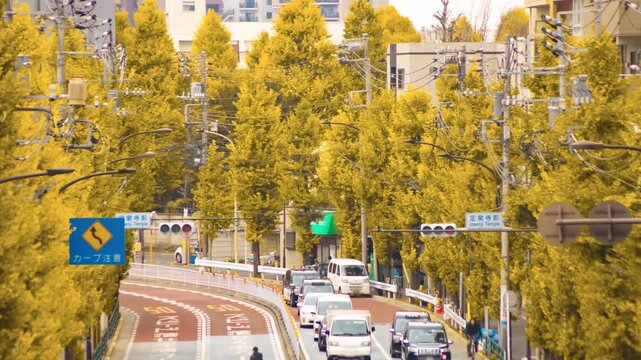 A timelapse of traffic jam at the yellow gingko street in Tokyo telephoto shot zoom