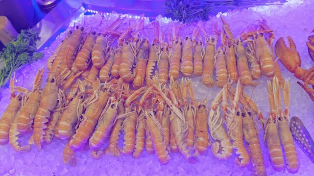 Fresh langoustines arranged on crushed ice with purple mood lighting. Seafood platter display at a French restaurant buffet. Ideal for gastronomy and catering concepts