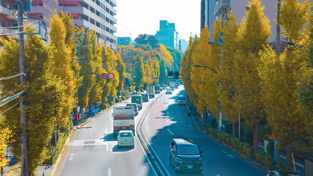 A timelapse of traffic jam at the yellow gingko street in Tokyo tilt
