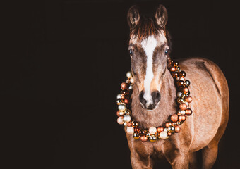 Pferd / weihnachtlich