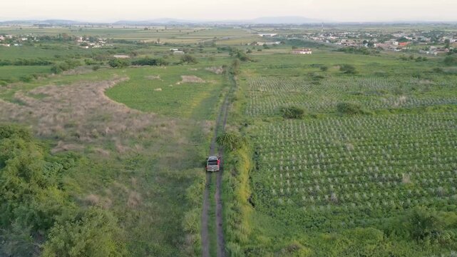 Forward Drone Aerial Tracking Shot of Pickup Truck Driving on Rural Dirt Road Between Crop Fields in Guanajuato, Mexico &ndash; Sunny 4K