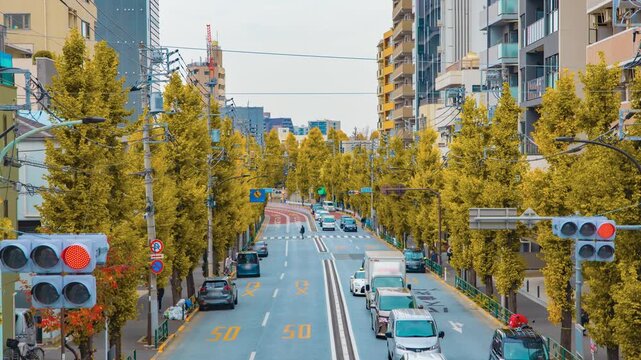 A timelapse of traffic jam at the yellow gingko street in Tokyo zoom