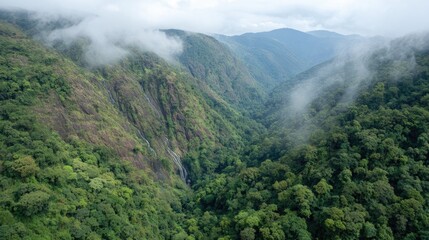 Fototapeta premium Aerial view of lush green mountains with fog and clouds during daylight