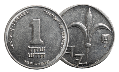 Israel, 1 New Sheqel , standard circulation coin, nickel plated steel, lily and ancient Yehud letters motif, with state emblem
