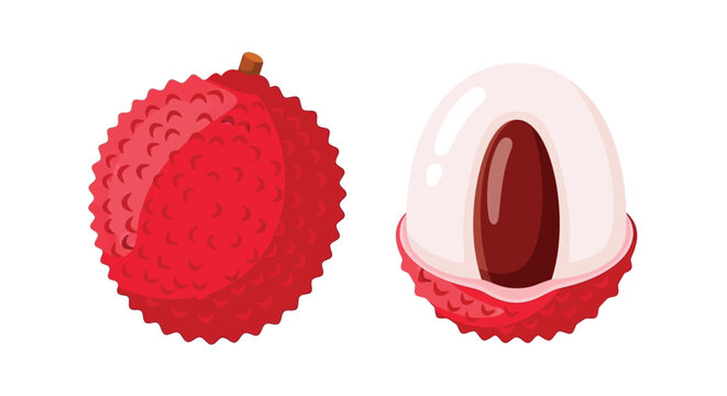 Fresh whole and half lychee fruit with seed isolated on white background.
