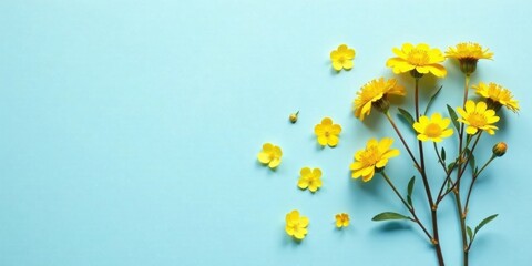 Delicate Yellow Blooms Arranged on a Light Blue Background, a Serene Floral Composition Perfect for Springtime Greetings or Invitations