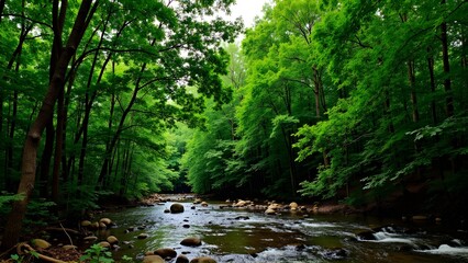 Obraz premium Serene landscape