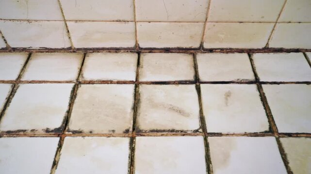Black mold caused by dirt and dampness. Close-up of black mold on bathroom floor. 