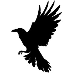 Obraz premium Illustration of a crow silhouette
