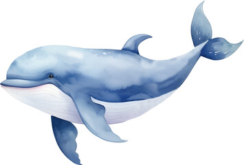 Obraz premium Watercolor Blue Dolphin Illustration