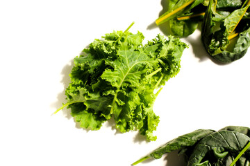 Fototapeta premium Piles of fresh leafy salad vegetable