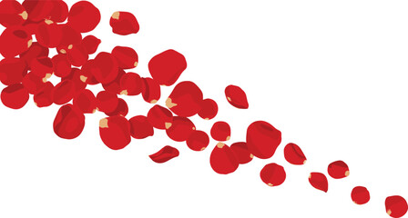Beautiful Falling Red Rose Petals Vector Background Isolated on White for Romantic Valentine&rsquo;s Day Wedding and Anniversary Celebrations
