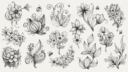 Collection of Hand Drawn Floral Elements and Botanical Illustrations.