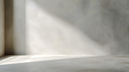 Sunlit Interior Space: A minimalist, sun-drenched interior, featuring soft, diffused light casting shadows across the textured concrete surfaces.