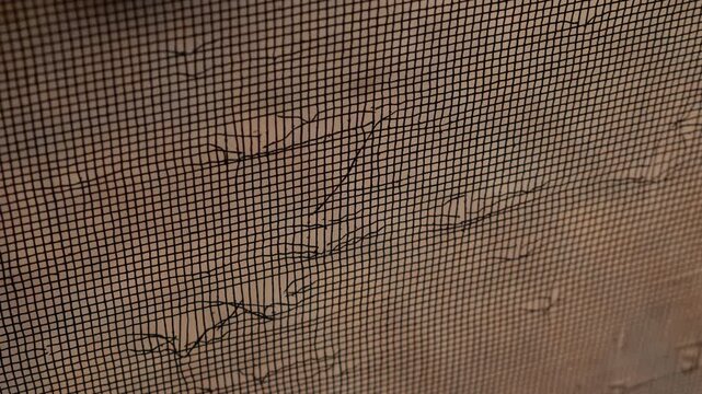 Damaged Door Screen Mesh with Cat Scratches and Holes Pet Destruction Home Repair Needed