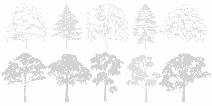 Silhouettes of various tree types arranged in a neat linear composition