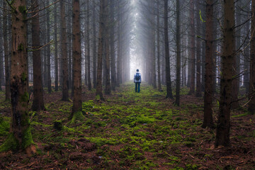 Man in hoodie with backpack is walking through forest at fog morning. Czech landscape