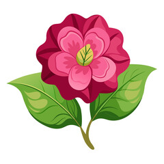 gloxinia flower with branch on white background