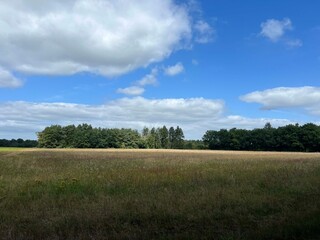 Obraz premium Scenery around Buinen in Drenthe