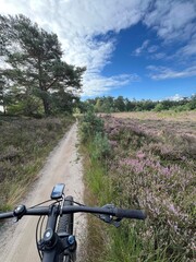 MTB track around Appelscha in Friesland