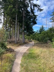MTB track around Appelscha in Friesland