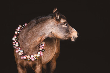 Pferd mit Kugelgirlande um den Hals