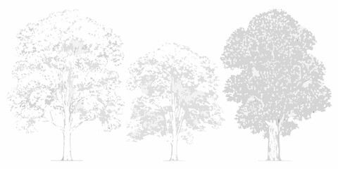 Three trees in a grayscale illustration varying in foliage density © MSTShikha