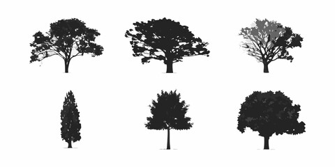 Fototapeta premium Collection of silhouettes depicting diverse tree types against a white background