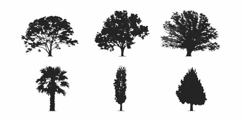 Silhouettes of diverse trees oak palm cypress and other foliage types