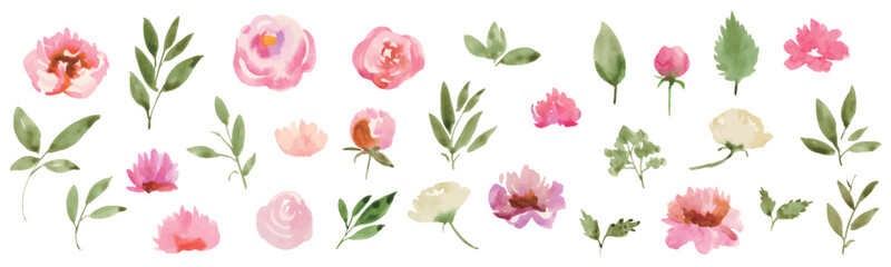 Watercolor floral elements set with pink flowers and green leaves