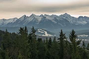 Aerial drone view of the Tatra Mountains from Czarna Gora near Zakopane, showing winter mountain range, forested hills, village landscape and alpine scenery during calm evening light