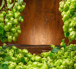 Fresh green hop flowers and lush leaves of hop vine are arranged as a frame and wooden wall and table in the background. A key component of the aroma and taste of beer production.